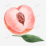 橘子视频APP应用