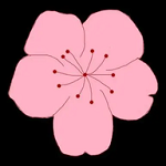 蜜桃网站APP应用